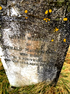 Photo of headstones/Donald MacLennan d1924 hdstn Laxay Old cem Lewis_